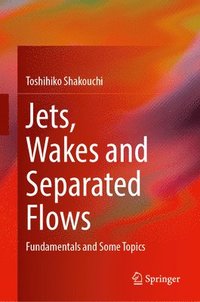 bokomslag Jets, Wakes and Separated Flows