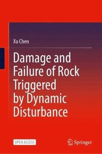 bokomslag Damage and Failure of Rock Triggered by Dynamic Disturbance