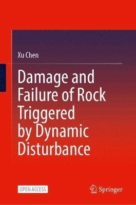 bokomslag Damage and Failure of Rock Triggered by Dynamic Disturbance