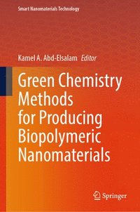 bokomslag Green Chemistry Methods for Producing Biopolymeric Nanomaterials