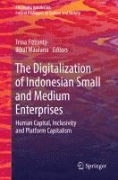 bokomslag Digitalization of Indonesian Small and Medium Enterprises