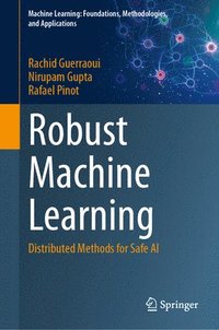 bokomslag Robust Machine Learning