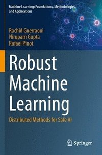 bokomslag Robust Machine Learning