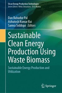 bokomslag Sustainable Clean Energy Production Using Waste Biomass