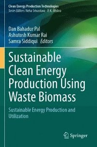 bokomslag Sustainable Clean Energy Production Using Waste Biomass