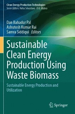 bokomslag Sustainable Clean Energy Production Using Waste Biomass