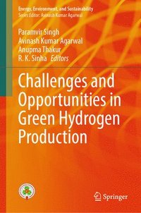 bokomslag Challenges and Opportunities in Green Hydrogen Production