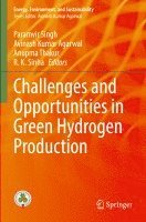 bokomslag Challenges and Opportunities in Green Hydrogen Production