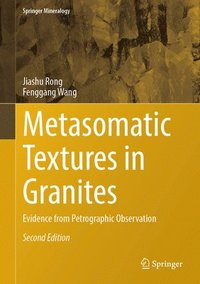 bokomslag Metasomatic Textures in Granites