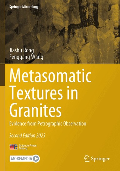 Jiashu Rong, Fenggang Wang - Metasomatic Textures in Granites, Häftad