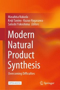 bokomslag Modern Natural Product Synthesis