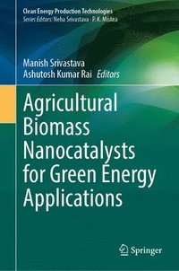 bokomslag Agricultural Biomass Nanocatalysts for Green Energy Applications