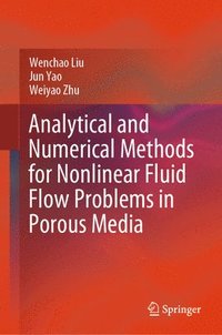 bokomslag Analytical and Numerical Methods for Nonlinear Fluid Flow Problems in Porous Media