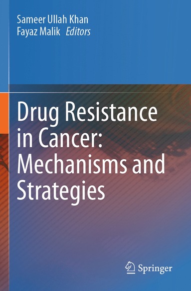 bokomslag Drug Resistance in Cancer: Mechanisms and Strategies