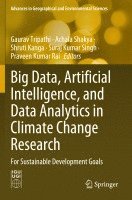 bokomslag Big Data, Artificial Intelligence, and Data Analytics in Climate Change Research