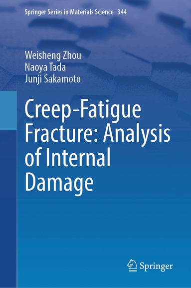 Weisheng Zhou, Naoya Tada, Junji Sakamoto - Creep-Fatigue Fracture: Analysis of Internal Damage, Inbunden