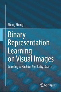 bokomslag Binary Representation Learning on Visual Images