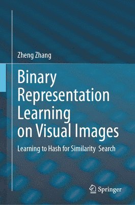 Binary Representation Learning on Visual Images 1