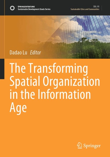 Dadao Lu - Transforming Spatial Organization in the Information Age, Häftad