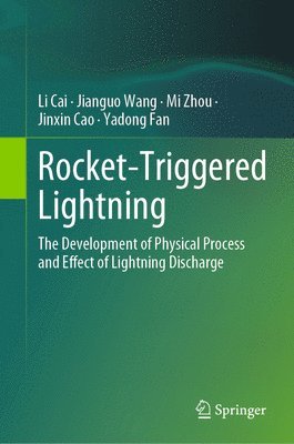 bokomslag Rocket-Triggered Lightning