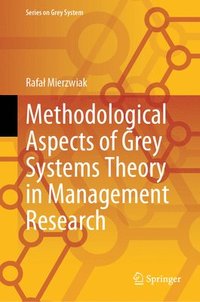 bokomslag Methodological Aspects of Grey Systems Theory in Management Research