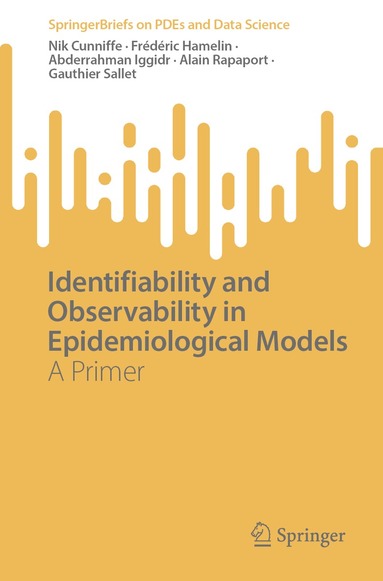 Nik Cunniffe, Frédéric Hamelin, Abderrahman Iggidr, Alain Rapaport, Gauthier Sallet - Identifiability and Observability in Epidemiological Models, Häftad