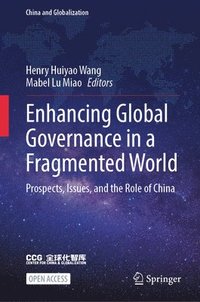 bokomslag Enhancing Global Governance in a Fragmented World