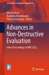 bokomslag Advances in Non-Destructive Evaluation