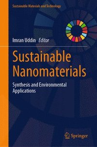 bokomslag Sustainable Nanomaterials