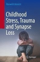 bokomslag Childhood Stress, Trauma and Synapse Loss