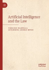 bokomslag Artificial Intelligence and the Law