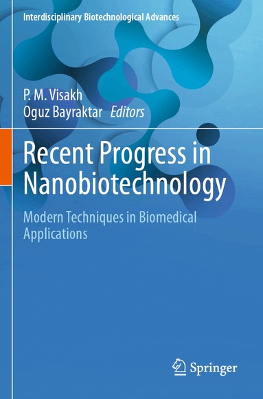 P. M. Visakh, Oguz Bayraktar - Recent Progress in Nanobiotechnology, Häftad