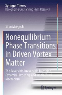 bokomslag Nonequilibrium Phase Transitions in Driven Vortex Matter