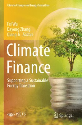 Fei Wu, Dayong Zhang, Qiang Ji - Climate Finance, Häftad