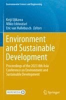 bokomslag Environment and Sustainable Development