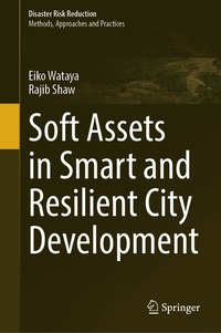 bokomslag Soft Assets in Smart and Resilient City Development