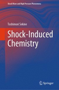 bokomslag Shock-Induced Chemistry