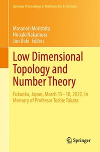 bokomslag Low Dimensional Topology and Number Theory