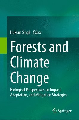 bokomslag Forests and Climate Change