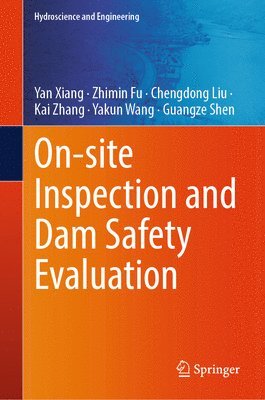 bokomslag On-site Inspection and Dam Safety Evaluation