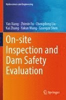 bokomslag On-site Inspection and Dam Safety Evaluation