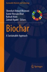 bokomslag Biochar