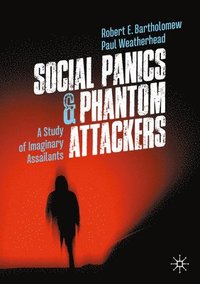 bokomslag Social Panics & Phantom Attackers