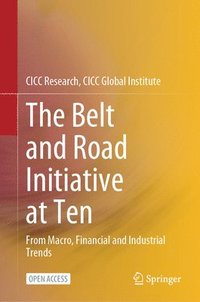 bokomslag The Belt and Road Initiative at Ten