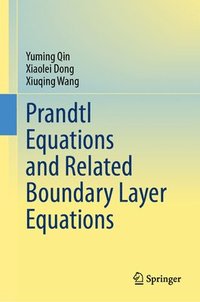 bokomslag Prandtl Equations and Related Boundary Layer Equations