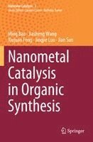 bokomslag Nanometal Catalysis in Organic Synthesis