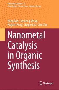 bokomslag Nanometal Catalysis in Organic Synthesis