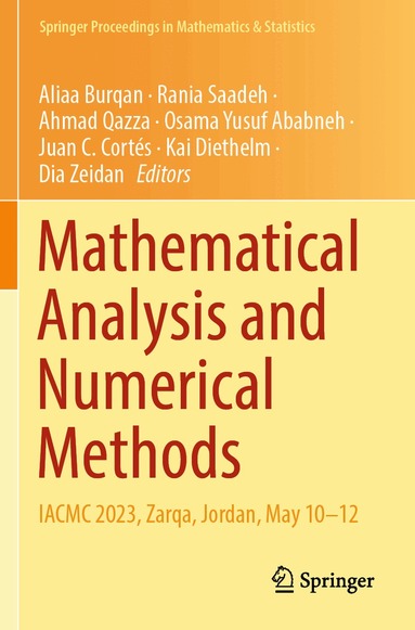 Aliaa Burqan, Rania Saadeh, Ahmad Qazza, Osama Yusuf Ababneh, Juan C. Cortés, Kai Diethelm, Dia Zeidan - Mathematical Analysis and Numerical Methods, Häftad