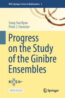 bokomslag Progress on the Study of the Ginibre Ensembles