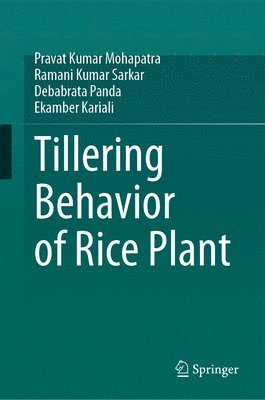 bokomslag Tillering Behavior of Rice Plant